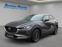 Gebraucht Mazda CX-30 Selection 150 PS (110 kW) 2021 Grau SUV