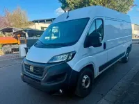 Gebraucht Fiat Ducato 180 PS (132 kW) 2021 Bianco Van