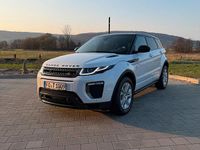 Gebraucht Land Rover Range Rover evoque 180 PS (132 kW) 2019 Weiß SUV