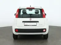 Neu Fiat Panda Connect 71 PS (52 kW) 2025 Gelatoweiss Kleinwagen