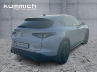 Neu Alfa Romeo Stelvio Veloce 209 PS (153 kW) 2025 Grau SUV
