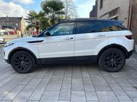 Gebraucht Land Rover Range Rover evoque Pure 241 PS (177 kW) 2018 Weiß SUV