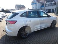 Gebraucht Ford Kuga ST-Line 150 PS (110 kW) 2023 Weiß SUV