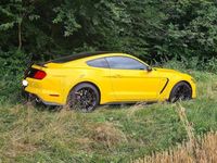 gebraucht Ford Mustang GT Shelby 350