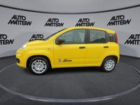 Neu Fiat Panda Icon 69 PS (50 kW) 2026 Gelb Kleinwagen