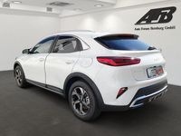 Gebraucht Kia XCeed Vision 140 PS (102 kW) 2024 Deluxeweiss met. SUV