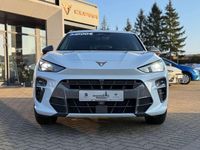 Usata Cupra Terramar 150 CV (110 kW) 2025 Bianco SUV