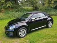 Gebraucht VW Beetle Design 110 PS (80 kW) 2017 Ebenholzschwarz Kleinwagen
