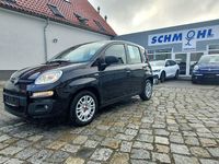 Gebraucht Fiat Panda 69 PS (50 kW) 2021 Schwarz Kleinwagen