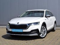 Gebraucht Skoda Octavia 150 PS (110 kW) 2022 Weiß Kombi