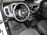 Gebraucht Fiat Panda 69 PS (50 kW) 2025 Weiß Kleinwagen