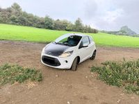 Gebraucht Ford Ka 69 PS (50 kW) 2010 Weiß Kleinwagen