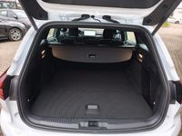 Neu Ford Focus ST-Line 116 PS (85 kW) 2025 Weiß Limousine