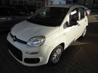 gebraucht Fiat Panda Easy -- Klimaanlage-TÜV/AU NEU--