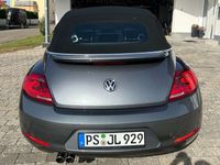 gebraucht VW Beetle Beetle TheCabriolet 1.4 TSI DSG Blue Motion Techn