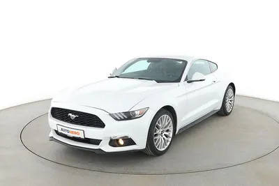 Occasion Ford Mustang Basis 317 ch (233 kW) 2016 Blanc Coupé