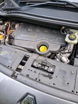 Usata Renault Scénic III