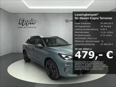 Neu Cupra Terramar Limited Edition 265 PS (194 kW) 2025 Grau SUV