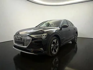 Brugt Audi e-tron
