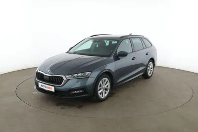 Gebraucht Skoda Octavia Ambition 110 PS (80 kW) 2021 Grau Kombi