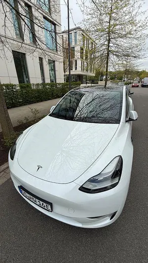 Usado Tesla Model Y