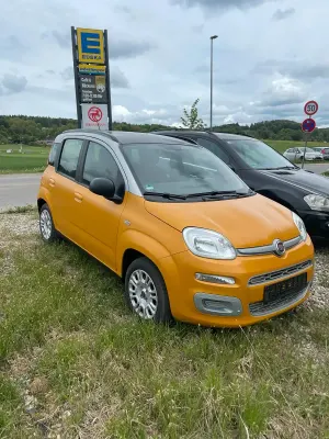 Occasion Fiat Panda