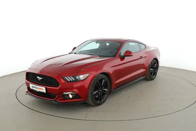 Occasion Ford Mustang Basis 317 ch (233 kW) 2017 Rouge Coupé