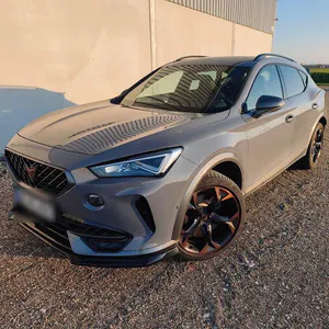 Brugt Cupra Formentor