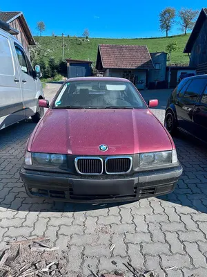 Brugt BMW 316
