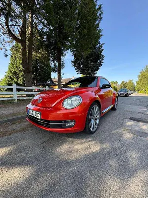 Brugt VW Beetle