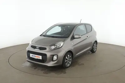 Usata Kia Picanto DREAM-TEAM Edition 84 CV (61 kW) 2016 Grigio Utilitaria