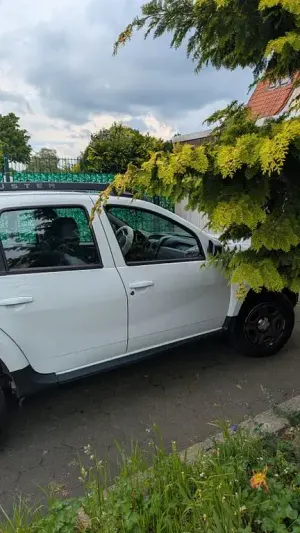 Brugt Dacia Duster