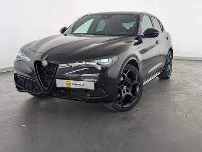 Gebraucht Alfa Romeo Stelvio Competizione 209 PS (153 kW) 2023 Schwarz SUV