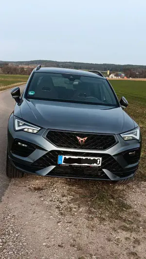 Brugt Cupra Ateca