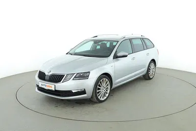 Gebraucht Skoda Octavia Clever 150 PS (110 kW) 2018 Grau Kombi