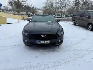 Occasion Ford Mustang