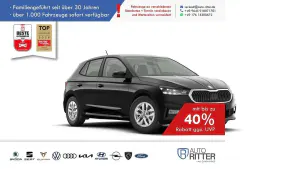 Brugt Skoda Fabia