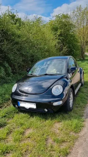 Brugt VW Beetle