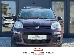 Używany Fiat Panda