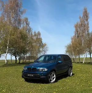 Brugt BMW X5