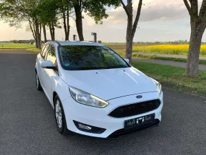 Brugt Ford Focus