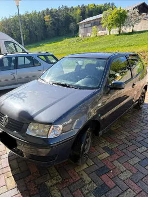 Brugt VW Polo