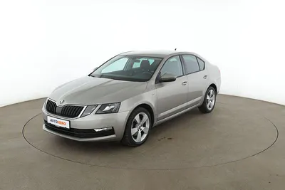 Gebraucht Skoda Octavia Clever 116 PS (85 kW) 2018 Grau Limousine