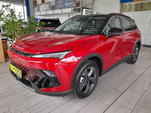 Brugt Baic X55