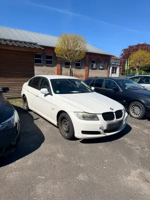 Brugt BMW 316