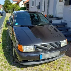 Usata VW Polo