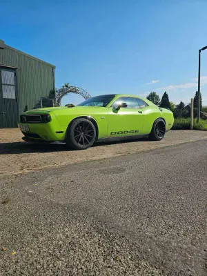 Używany Dodge Challenger