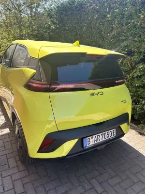 Brugt BYD Dolphin Surf