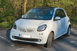 Occasion Smart ForFour