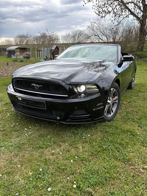 Occasion Ford Mustang